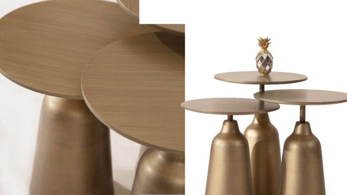 TAKE ZİGON SEHPA PRİNÇ - Görsel 2